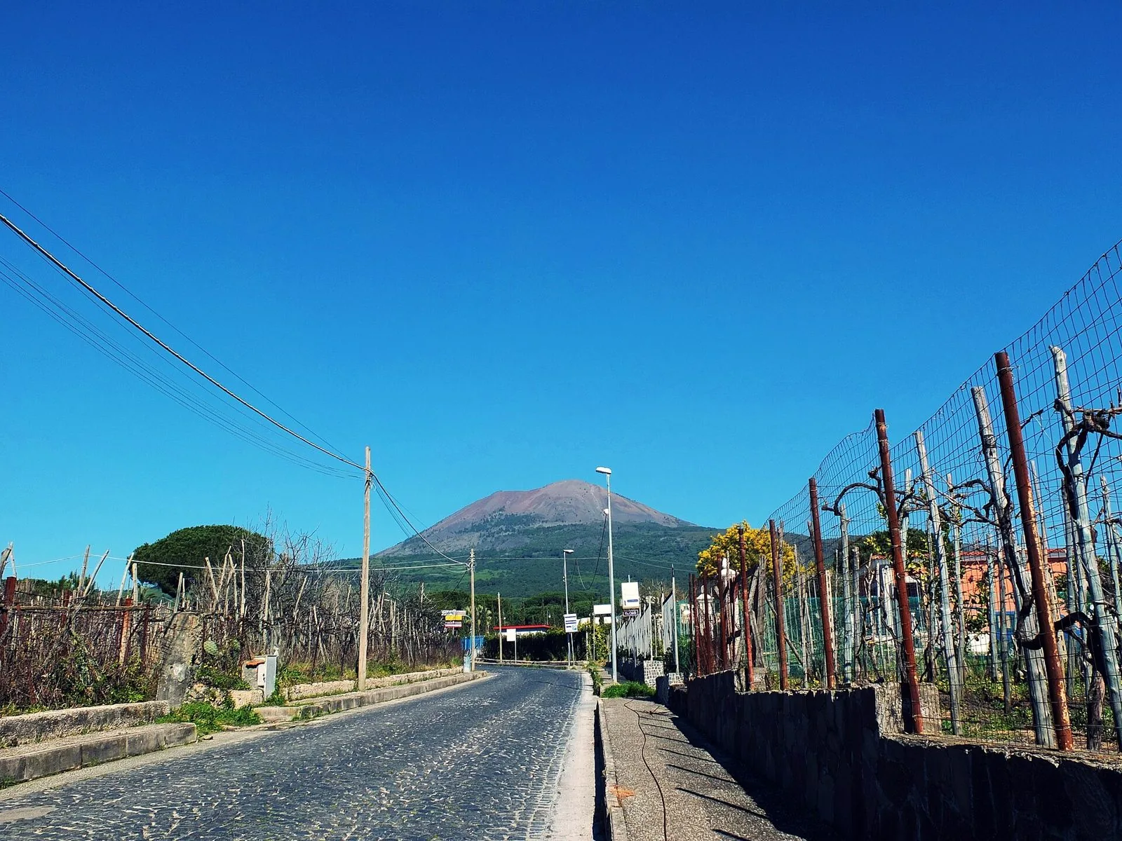 Strada lastricata tra i vigneti di Boscoreale, con i pali delle viti a destra e il cono del Vesuvio sullo sfondo sotto un cielo azzurro